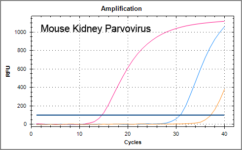 MKPV amplification curves