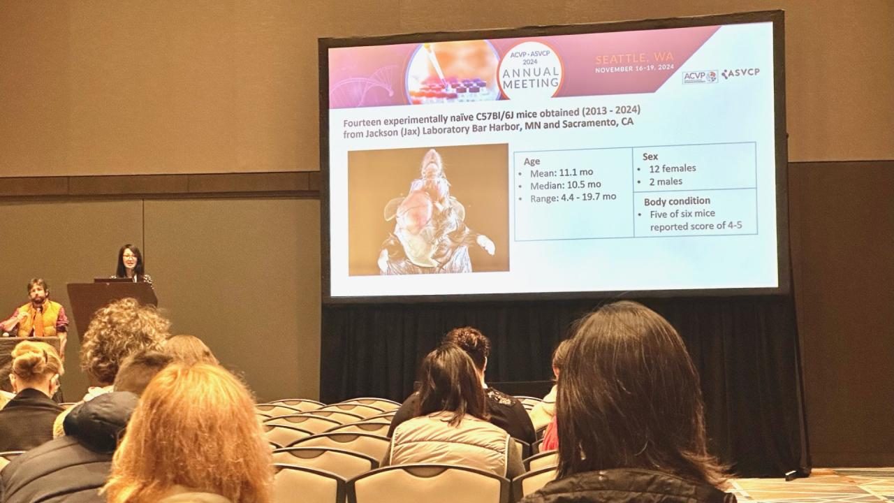 Dr. Polly Chen presenting to a crowd at ACVP. 