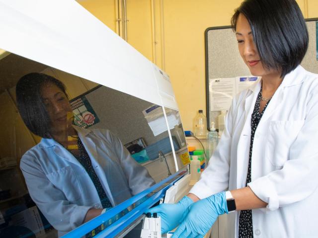 A lab technician in a white coat using equipment, with blue gloves, in a laboratory setting.