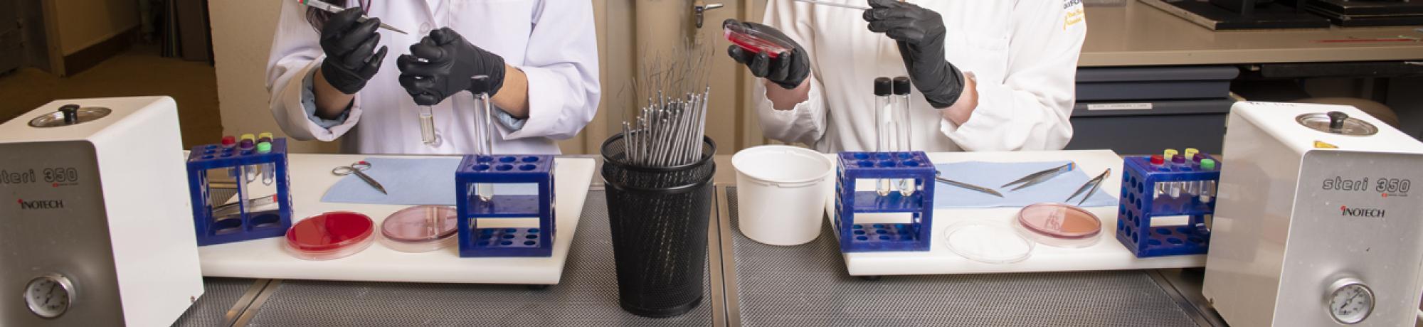 Two lab technicians in gloves work at a table with scientific equipment and samples.